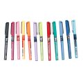 Pilot Hi Tecpoint BX V5 Extra Fine Point 0.5 Pure Liquid Ink Roller Ball Pen (Set of 12 Colors). 