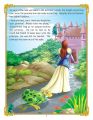 Dreamland The Princess And The Frog - Story Book. 