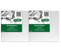 ProArt Stretched Canvas 4x6 inches Pack Of 2. 