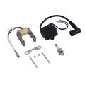 Engine CDI Ignition Coil Stator Coil Spark Plug Kit for 2 Stroke 49Cc 50Cc 60Cc 80Cc Motor Bike Bicycle. 