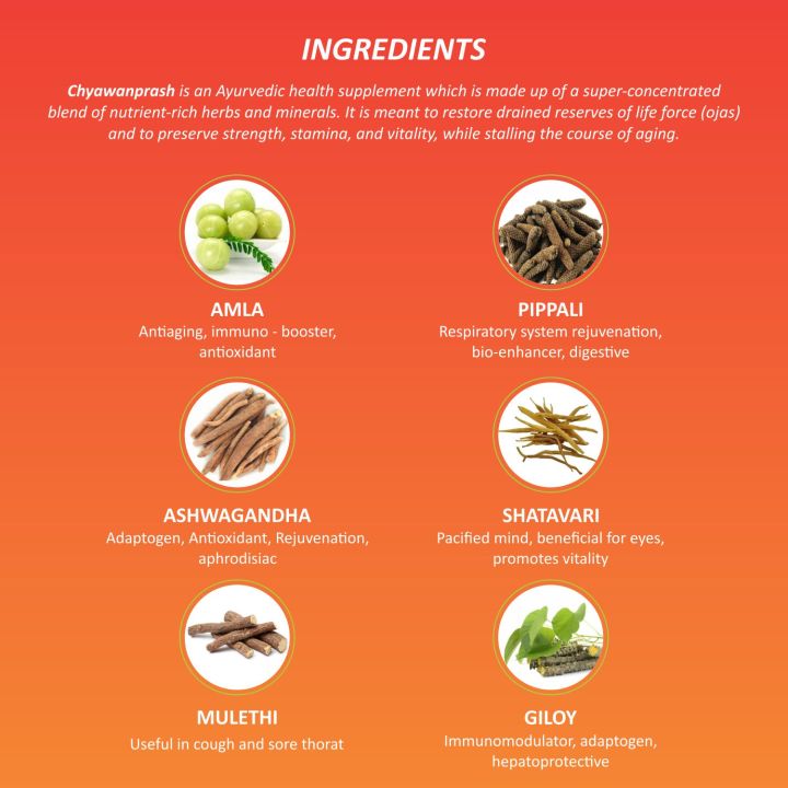 Baidyanath%20Chyawanprash%201%20Kg%20-%20Image%202