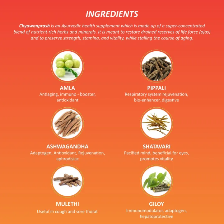 Baidyanath%20Chyawanprash%201%20Kg%20-%20Image%202