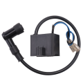 Engine CDI Ignition Coil Stator Coil Spark Plug Kit for 2 Stroke 49Cc 50Cc 60Cc 80Cc Motor Bike Bicycle. 