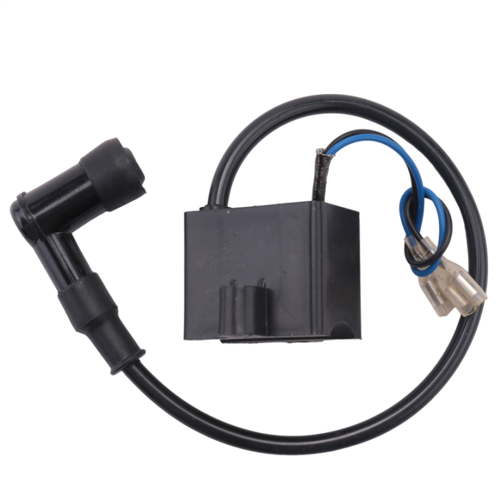 Engine%20CDI%20Ignition%20Coil%20Stator%20Coil%20Spark%20Plug%20Kit%20for%202%20Stroke%2049Cc%2050Cc%2060Cc%2080Cc%20Motor%20Bike%20Bicycle%20-%20Image%205