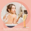 Durable Boar Bristle Body Brush Wooden Natural Shower Brushes Soft Dry Brushing for Exfoliation. 