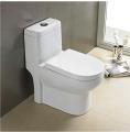 Western Floor Mounted One Piece Water Closet Ceramic Western Toilet/European Commode with Soft Close Seat Cover, Toilets (S Trap Outlet ). 