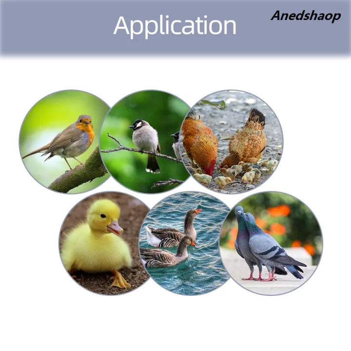Anedshaop%20XM-18D%20Incubator%20Controller%20Thermostat%20Full%20Automatic%20and%20Agg%20Incubator%20Profesional%20Hatcher%20Control%20System%20Sensor%20Chicken%20Hatching%20AC%20220V%20-%20Image%206