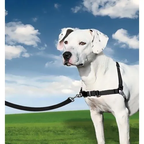Petsafe%20Easy%20Walk%20Front-Attachment%20Harness%20and%20Lead%20Set%20-%20Image%203