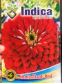 1 Packet Zinnia Red Flower Seeds - Fresh and New Zinnia Seeds. 