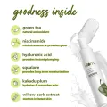 Plum Goodness Green Tea Oil Free Moisturizer 50Ml. 