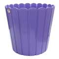 Gamala/Flower pot Thai Pot 12 Inch - Gamala. 