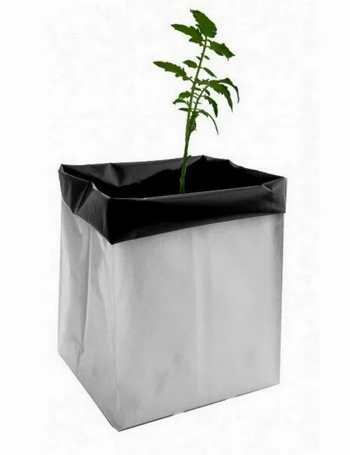 Large%20Grow%20Bags%20-%20Pack%20Of%2010%20Pcs%20%7C%2010%20x%2016%20Inch%20Large%20Size%20Plastic%20Grow%20Bags%20-%2010%20Pcs%20%7C%20Black/White%20UV%20Protected%20Reusable%20Grow%20Bag%20-%20Image%204