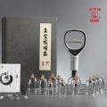 Acupoint Vacuum Magnetic Pump Cupping Therapy Kit. 