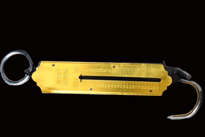 METAL SPRING BALANCE 1KG TO 50KG | Daraz.com.np
