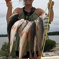 3Pack Fishing Bobbers Popping Cork Float for Redfish Speckled Trout Sheepshead Flounder Freshwater and Saltwater. 