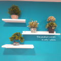 Wooden Floating Shelves Wall Mounted of 1PC Only. 