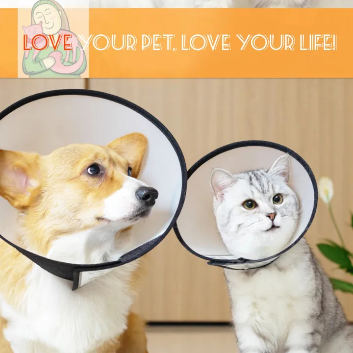 Elizabethan%20Dog%20Cat%20Pet%20Wound%20Healing%20Cone%20E-%20Collar%20White%20with%20Black%20-%20Image%205
