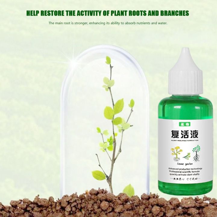 Efficiently%20Root%20Stimulator%20Plant%20Resurrection%20Liquid%20Fruit%20Liquid%20Root%20Booster%2050ml%20Succulent%20Rooting%20Nutrient%20-%20Image%205