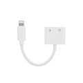 Lightning to 3.5mm Audio & Call & Charger Adapter (Game Supported). 