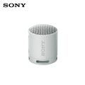 Sony SRS-XB100 Compact Bluetooth Wireless Speaker. 
