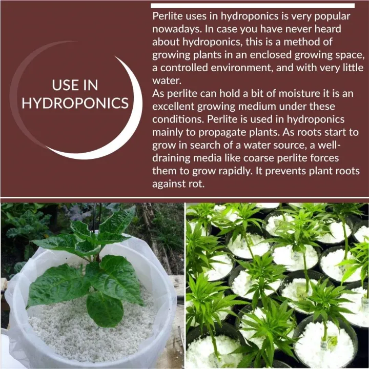 Perlite%20for%20Gardening/Perlite%20for%20Plants%20Potting%20Mix%20(500%20Gram)%20-%20Image%207