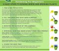 20 Plus  Rosemary Seeds for Planting - Rosemary Herb Sees Loose Pack. 