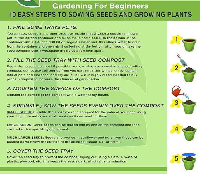 20%20Plus%20%20Rosemary%20Seeds%20for%20Planting%20-%20Rosemary%20Herb%20Sees%20Loose%20Pack%20-%20Image%206
