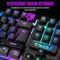 Combo of Gaming Mouse and Keyboard - T-WOLF T20 RGB LED Backlight USB Mechanical Gaming Keyboard With Multimedia Keys Support. 