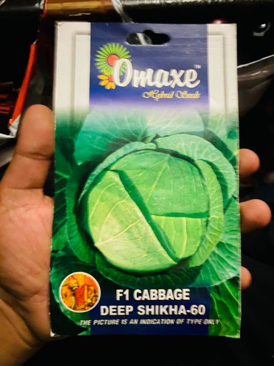 Vegetable Seed - 1 Packet F1 FABBAGE DEEP SIKHAR-60 Omaxe Seeds By Savyata Stores For Kitchen Garden