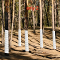 Plant Tree Trunk Protector Weather Preventing Bites Proof Plastic Guards Cover Plant Protecting Tool Garden Accessorie A. 
