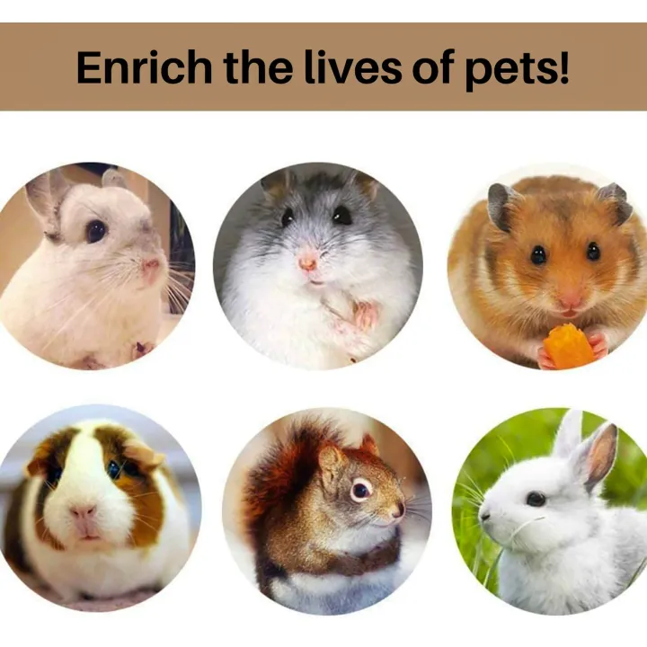 NAMUNY%2010%20Pcs%20Set%20Hamster%20Chew%20Toys%20Natural%20Wooden%20Gerbils%20Rats%20Chinchillas%20Toys%20Accessories%20Dumbbells%20Exercise%20Bell%20Roller%20Teeth%20Care%20Molar%20Toy%20For%20Guinea%20Pig%20Bunny%20Rabbits%20-%20Image%202