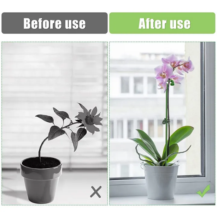 fasdaga%20120Pcs%20Plant%20Supports%20Set%20-%2040%20Pack%20Flower%20Plant%20Stakes%20Sticks%20(3%20Sizes),%2040%20Plant%20Support%20Clips%20and%2040%20Orchid%20Clips%20-%20Image%207