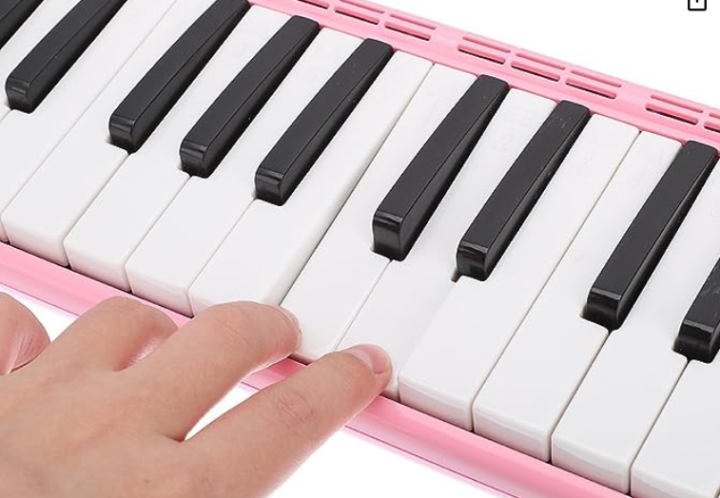 32%20Keys%20Pianica%20Piano%20Melodica%20Musical%20Instrument%20for%20Music%20Lovers%20Beginners%20Gift%20with%20Carrying%20Bag%E2%80%8B%20-%20Image%205