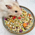 Hamster  Food | Gerbil Diet | Crispy Pellets Muesli Style Small Pets Feed | With Vitamins & Minerals - Choose your Pack Option Available. 