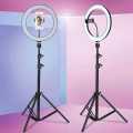 Ring Fill Light With 7 ft Stand (26cm). 