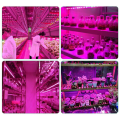 fasdaga 5X LED Grow Light Full Spectrum 5V USB Grow Light Strip 2835 LED Phyto Lamps 100cm. 