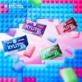 LOTTE Xylitol Sugar Free Lime Mint Chewing Gum (Pillow Pack) (11.6g). 