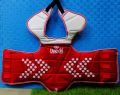 Reversible Daedo Taekwondo Chest Pad. 