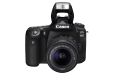 Canon EOS 90D (EF-S18-55mm f/4-5.6 is STM) | Stunning Video & Brilliant Details In Every Shot. 