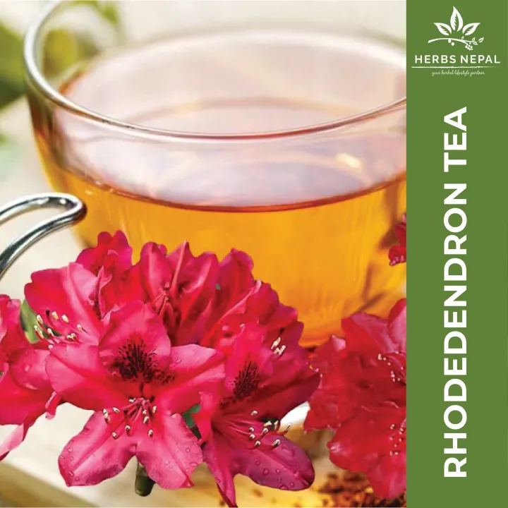 Rhododendron%20Arboreum%20Tea%20(50gms)%20/%20Herbs%20Nepal%20-%20Image%202