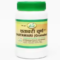 शतावर पाउडर