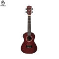 Manaslu Danfe 24 Inch Concert EQ Ukulele With Package. 