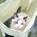 Dog Backpack Soft Canvas Cat Carrier Bag Portable Breathable Pets Handbag High Capacity Pet Mesh Carrier Bag Cat. 