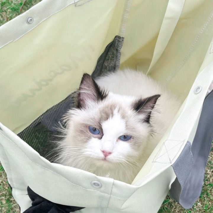Dog%20Backpack%20Soft%20Canvas%20Cat%20Carrier%20Bag%20Portable%20Breathable%20Pets%20Handbag%20High%20Capacity%20Pet%20Mesh%20Carrier%20Bag%20Cat%20-%20Image%205