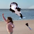 Huge Frameless 3D oft Wing Giant Whale Kite. 