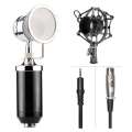 Bm 8000 Condenser Sound Studio Recording Broadcasting Microphone+Pop Filter+Shock Mount. 