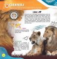 Dreamland Animals WOW Children Encyclopedia In Augmented Reality Age 6+ By KitabKalam. 