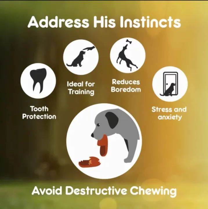 Purepet%20Chew%20Bone%20For%20Dogs%20-%206inches,%20360g%20By%20HAMROPETS%20-%20Image%205