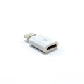 Adapter for Lightning Connector to Micro USB Converter. 
