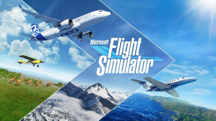 Microsoft%20Flight%20Simulator%20for%20PC%20and%20Laptop%20-%20Image%203